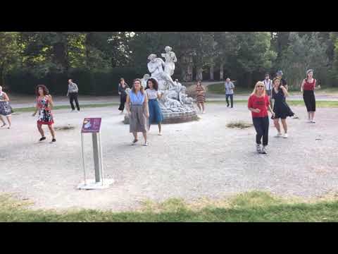 Anteprima video
