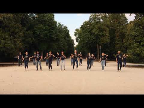 Anteprima video