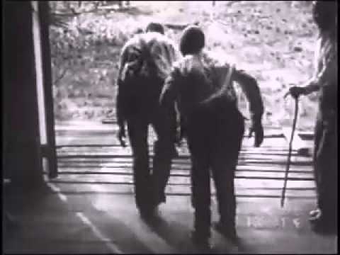 Anteprima video